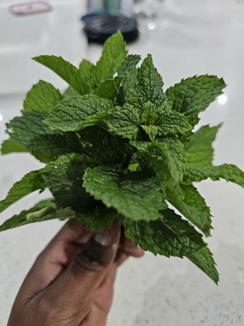 Mint